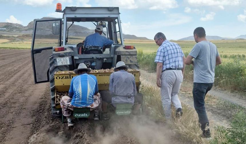 Van’da patates üretimine yerli çeşit desteği