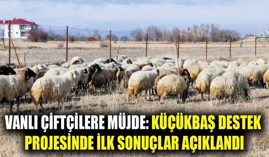 Vanlı çiftçilere müjde: Küçükbaş destek projesinde ilk sonuçlar açıklandı