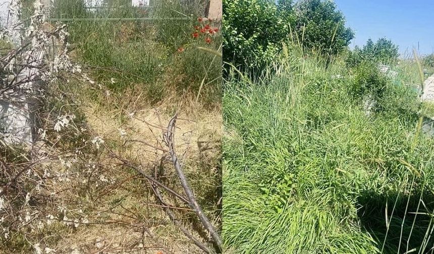 Vanlılardan belediyeye tepki: “Bari ölümüze sahip çıkın”