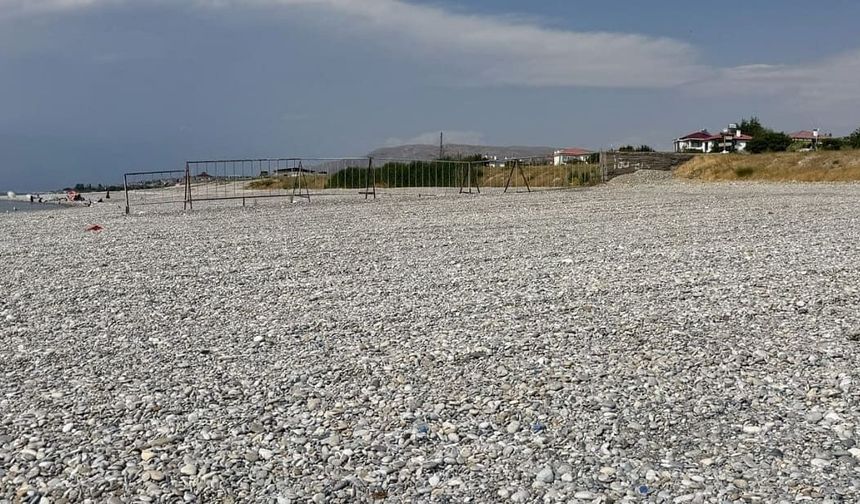 Van Mollakasım Sahili'nde sinek istilası