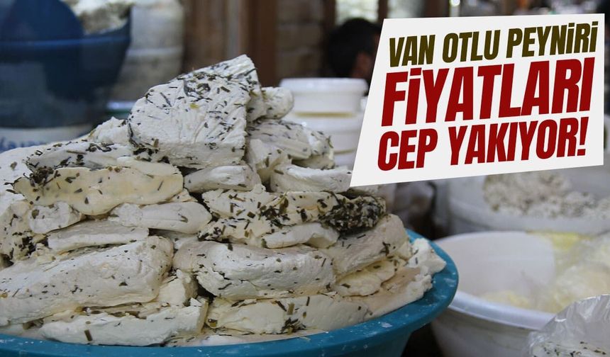 Van Otlu Peyniri Fiyatları Cep Yakıyor!