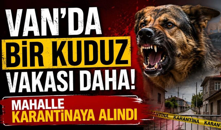 Van’da bir kuduz vakası daha! Mahalle karantinaya alındı
