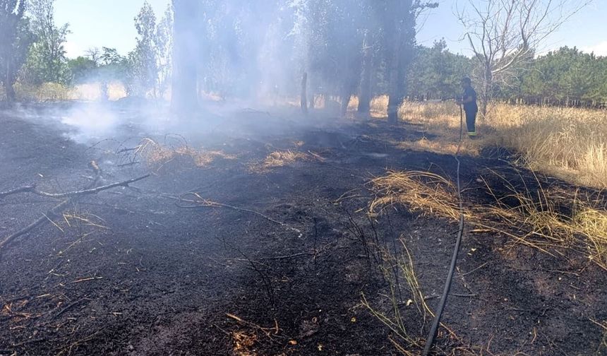Van'da itfaiye ekiplerinden peş peşe yangın mesaisi