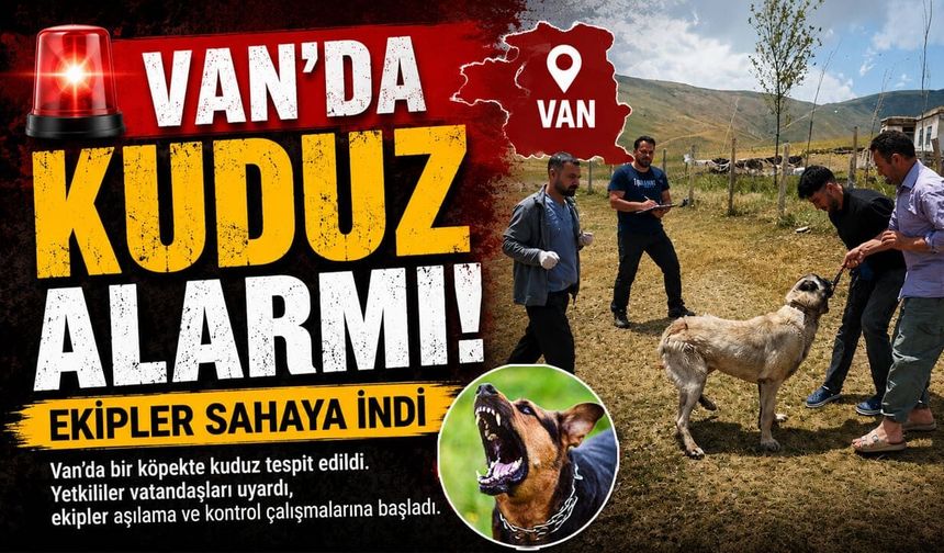Van'da kuduz alarmı! Ekipler sahaya indi