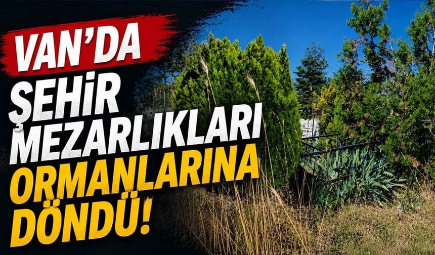 Van’da şehir mezarlıkları ormanlara döndü!