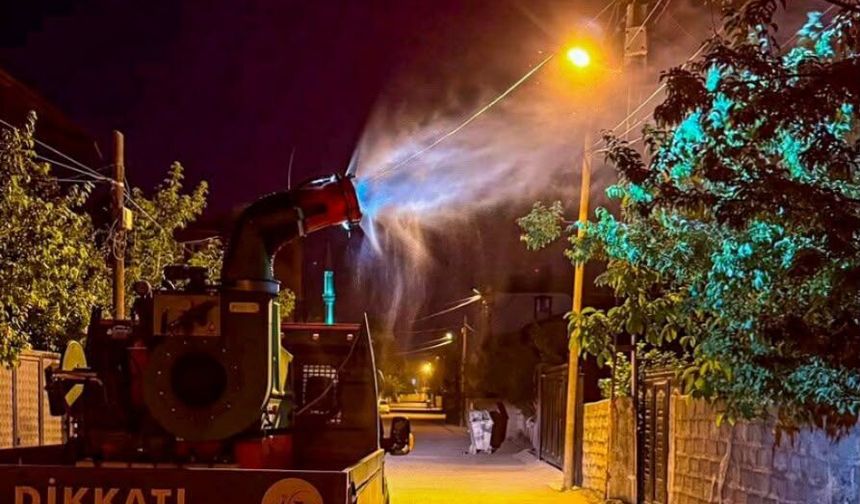 Van’da sineklere karşı mücadele!