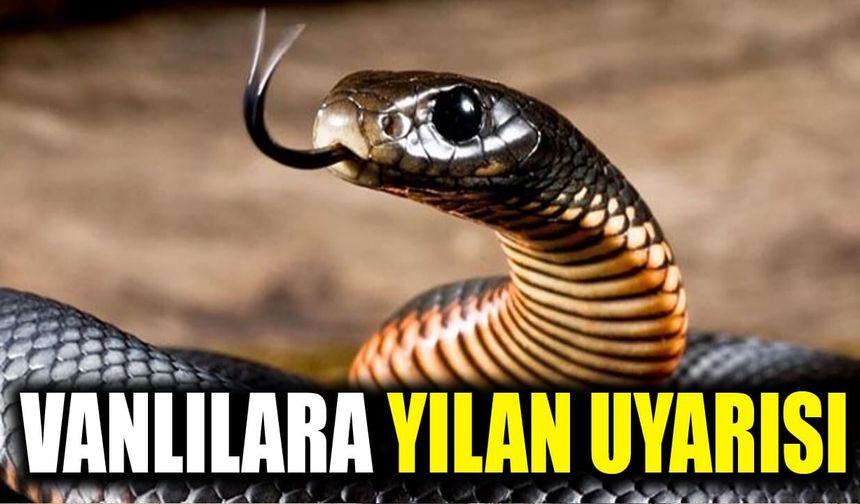 Vanlılara yılan ve yabani hayvan uyarısı