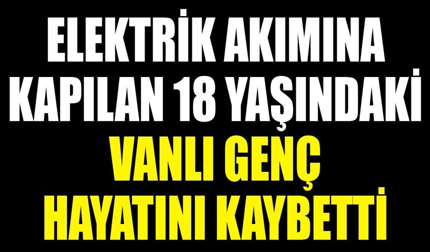 Elektrik akımına kapılan 18 yaşındaki Vanlı genç hayatını kaybetti