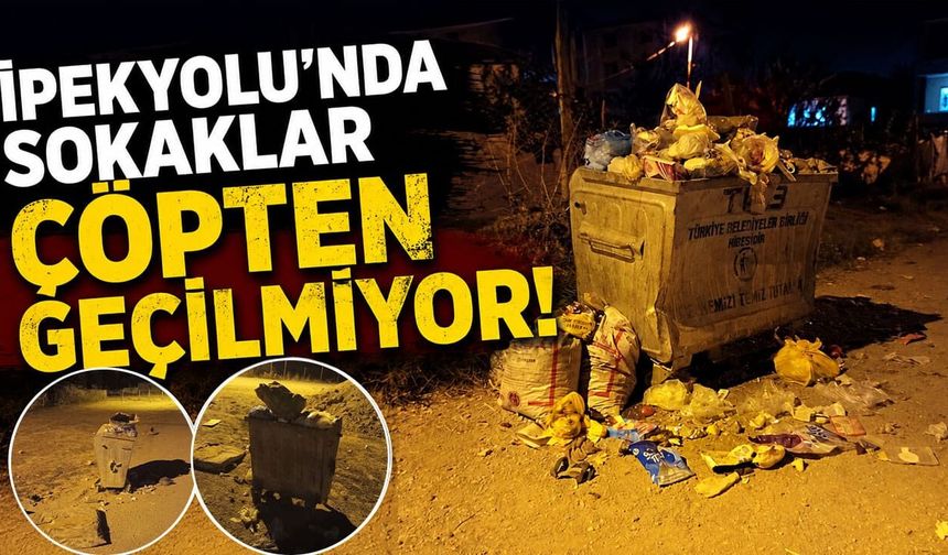 İpekyolu’nda sokaklar çöpten geçilmiyor!
