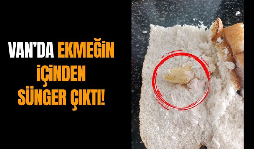 Van’da ekmeğin içinden sünger çıktı!