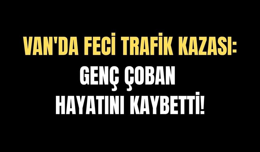 Van Muradiye'de trafik kazası: Genç çoban hayatını kaybetti!