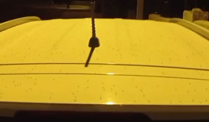 Van’da sivrisinek istilası! Vatandaşlar çözüm bekliyor