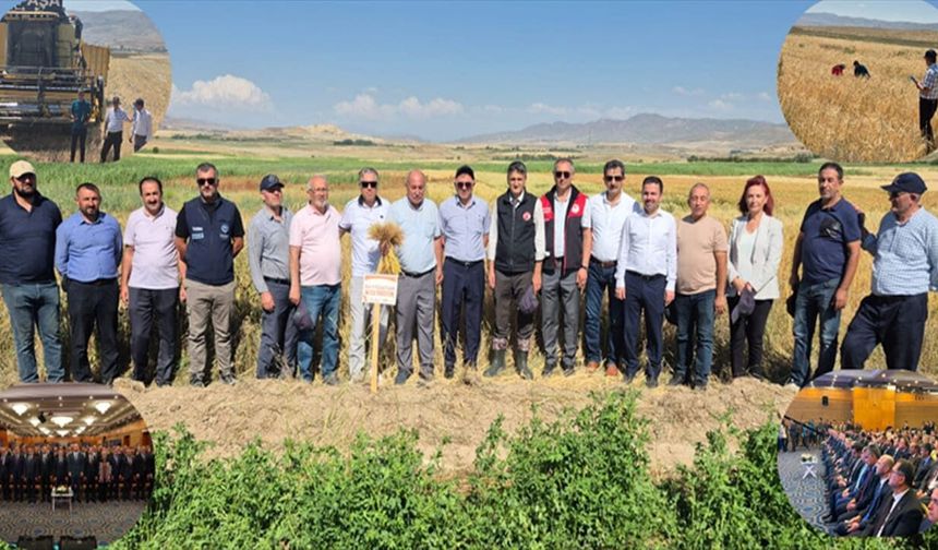 Van’da tarımsal demonstrasyon çalışmalarında yüksek verim elde edildi