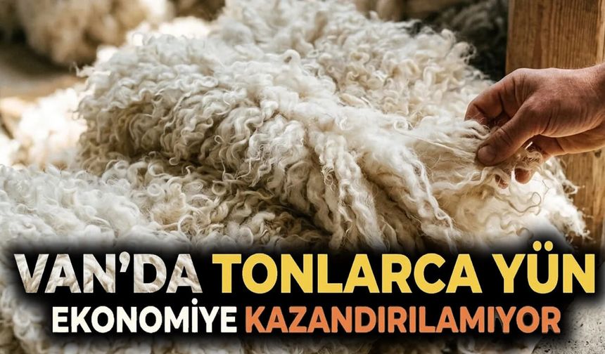 Van’da tonlarca yün ekonomiye kazandırılamıyor