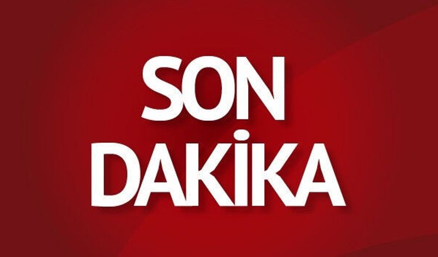 Van'da 20 yaşındaki çoban hayatını kaybetti