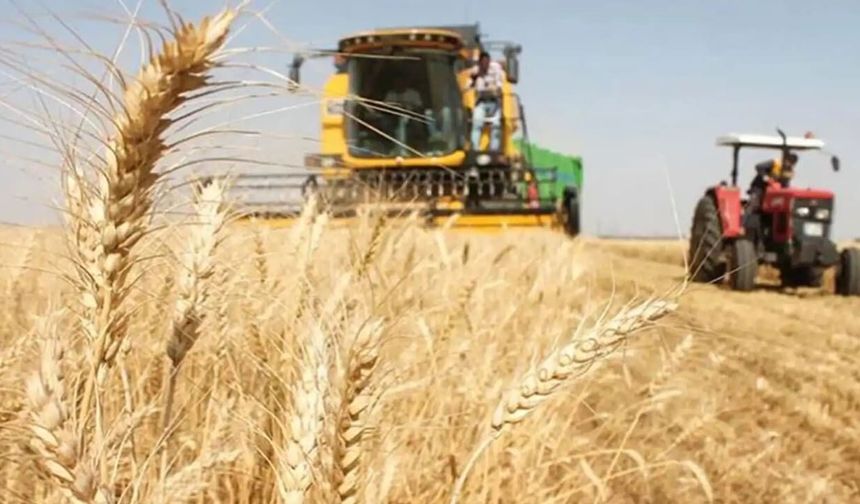 TMO’dan üreticilere 3,6 milyar liralık ödeme