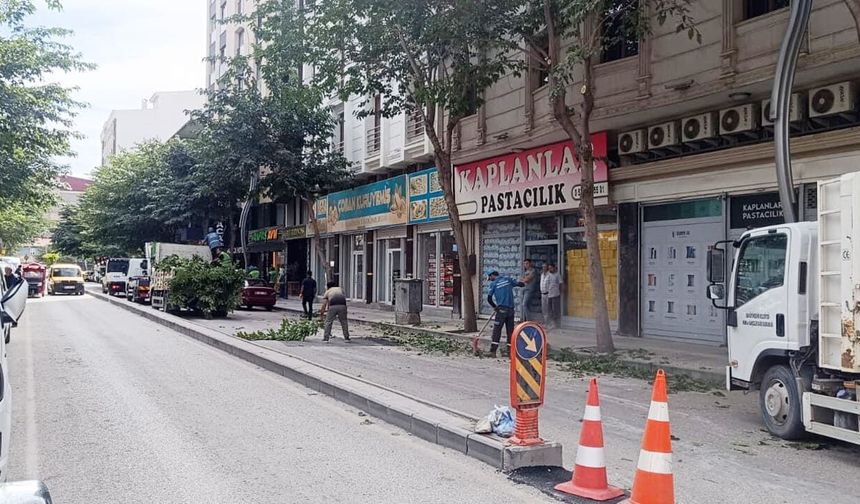 Van Zübeyde Hanım Caddesi’nde ağaçlar budanıyor