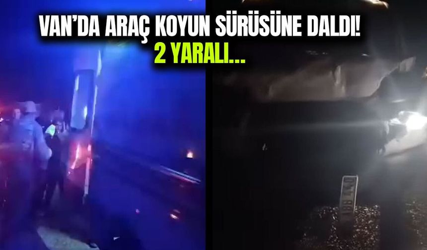Van’da araç koyun sürüsüne daldı! 2 yaralı…