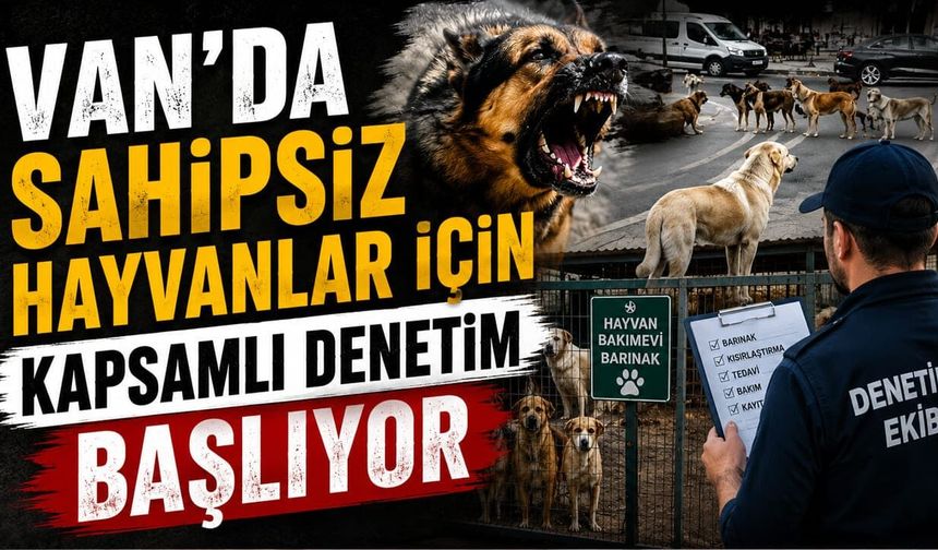 Van’da sahipsiz hayvanlar için kapsamlı denetim başlıyor