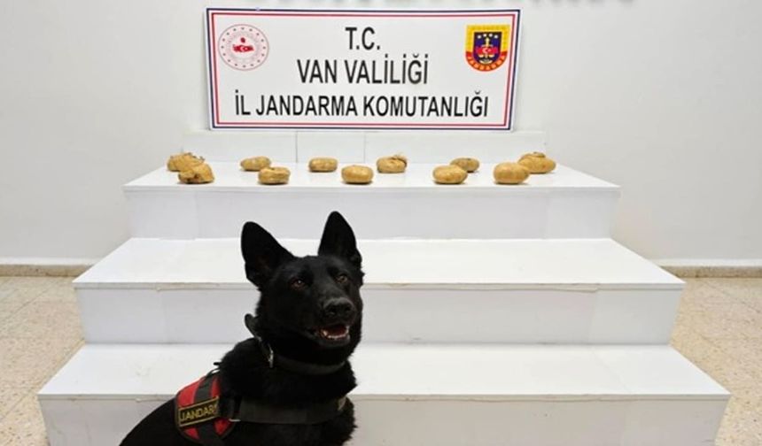 Başkale’de 11 kilo 958 gram toz esrar ele geçirildi
