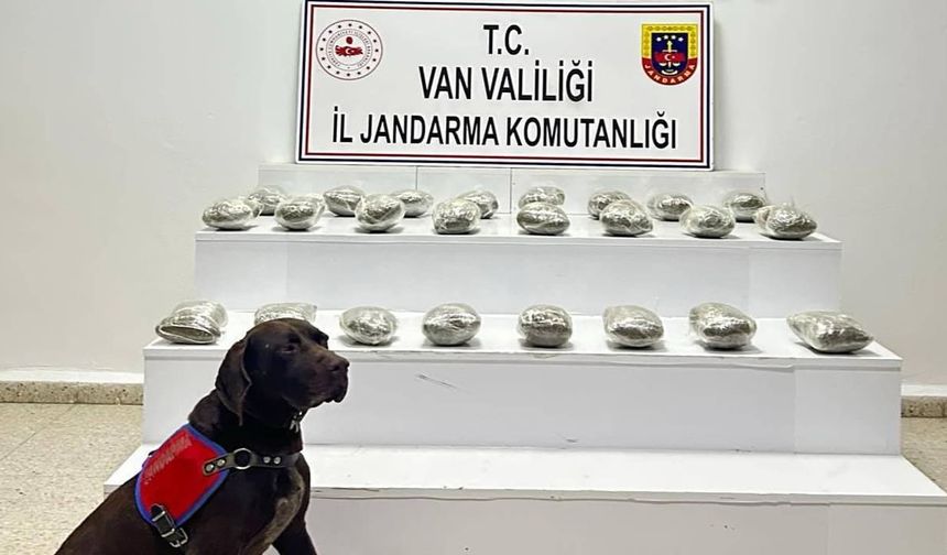 Van Başkale’de 10 kilo 111 gram toz esrar ele geçirildi