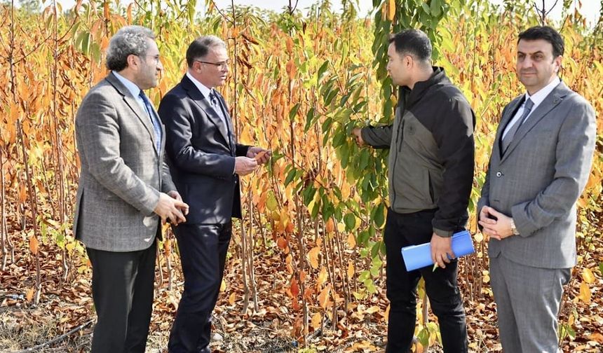 Van’da 5 milyon fidan toprakla buluşacak