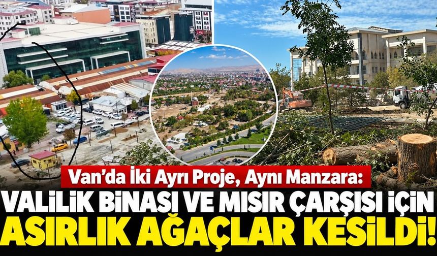Van’da iki ayrı proje, aynı manzara: Valilik binası ve Mısır Çarşısı için asırlık ağaçlar kesildi!