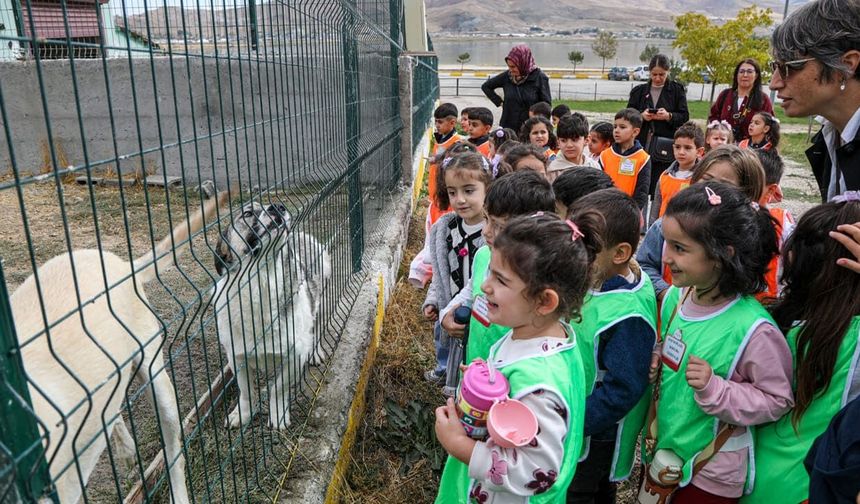 Van’da minik öğrencilerden Hayvan Bakım Merkezi'ne ziyaret