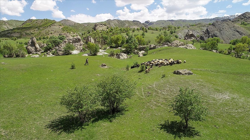 PKK’den Arındırılan Yaylalarda Küçükbaş Hayvan Ve Kuş Sesleri Yankılanıyor