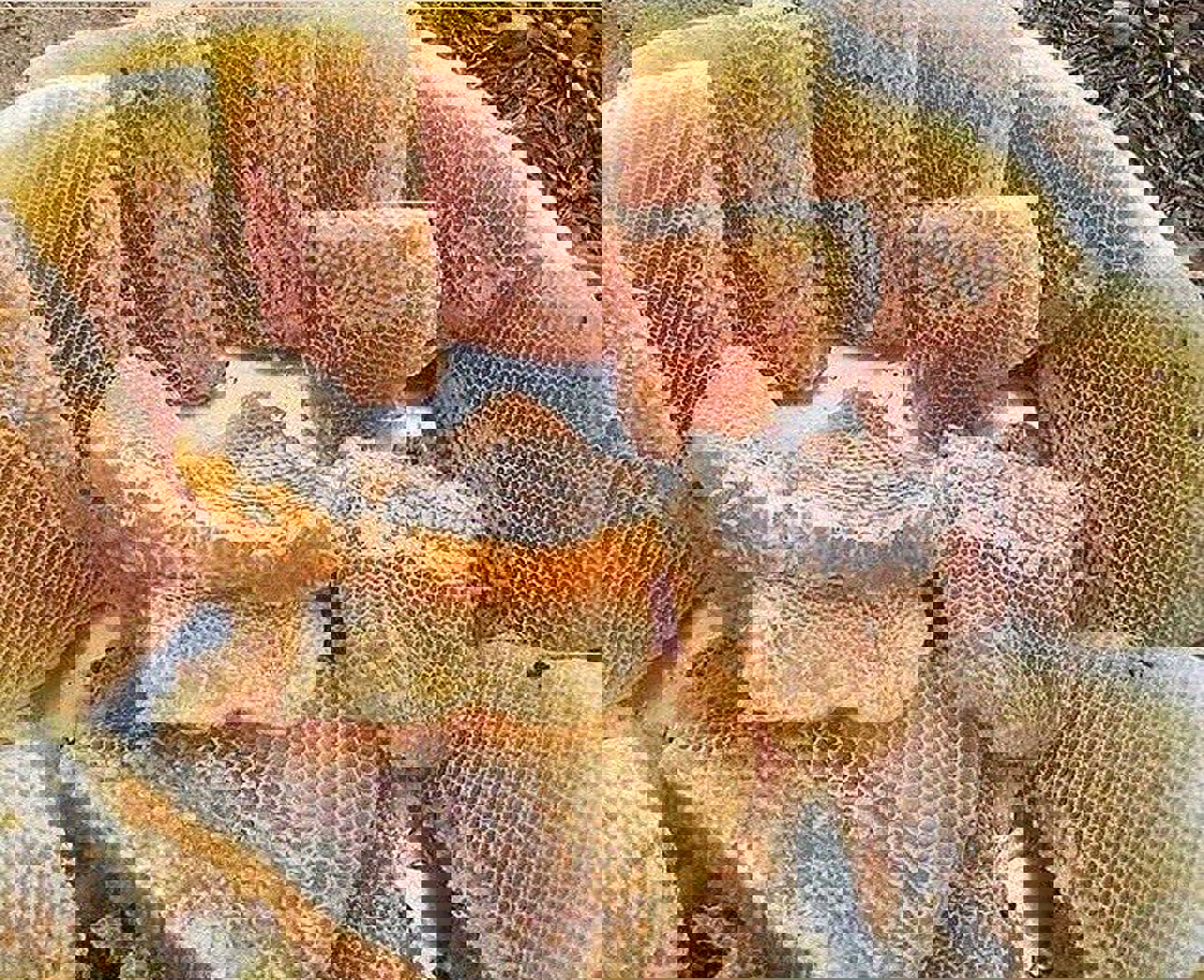 bitlisbalı_1280x1042