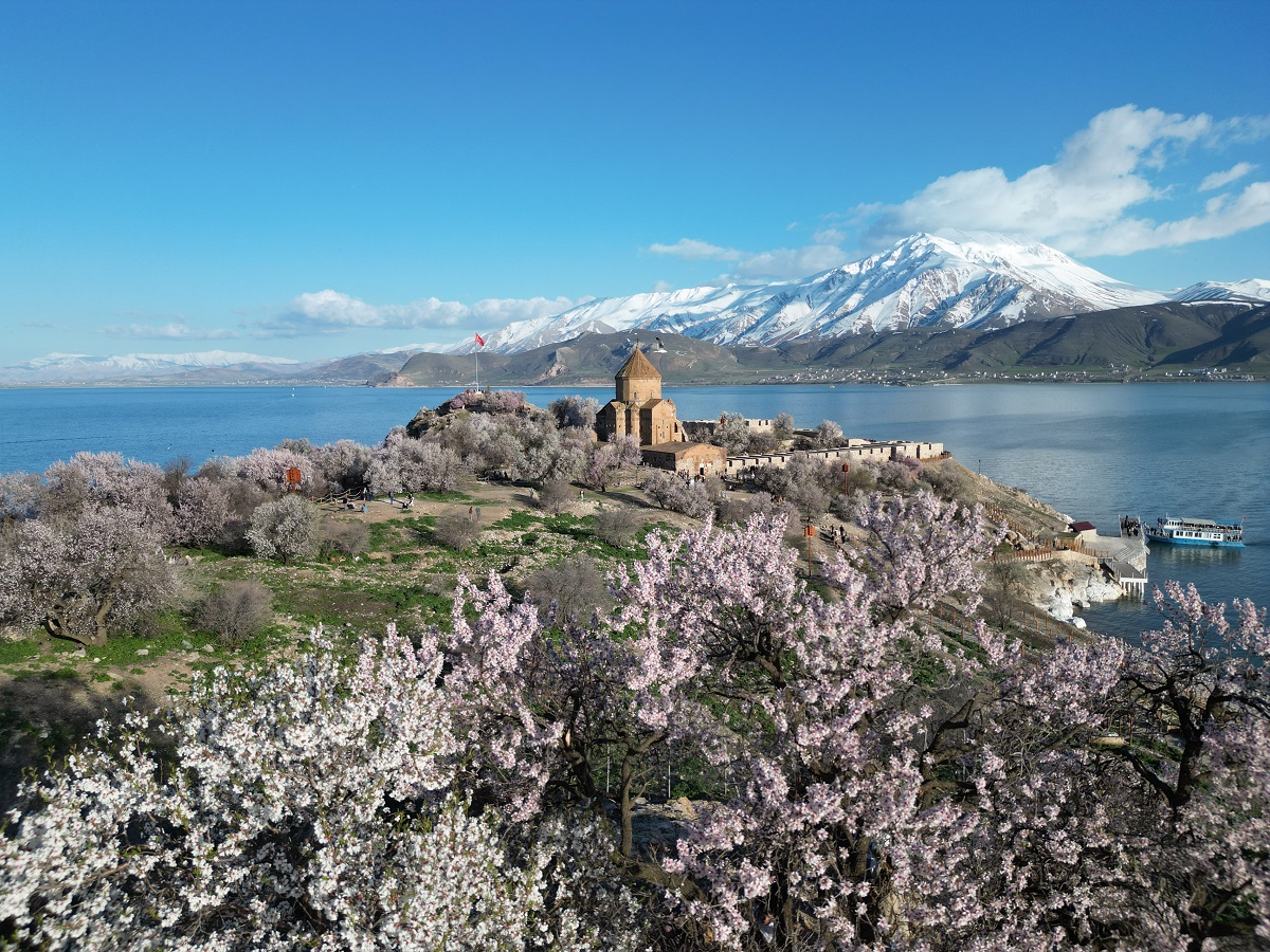 Akdamar Adası Çiçek Açtı (4)