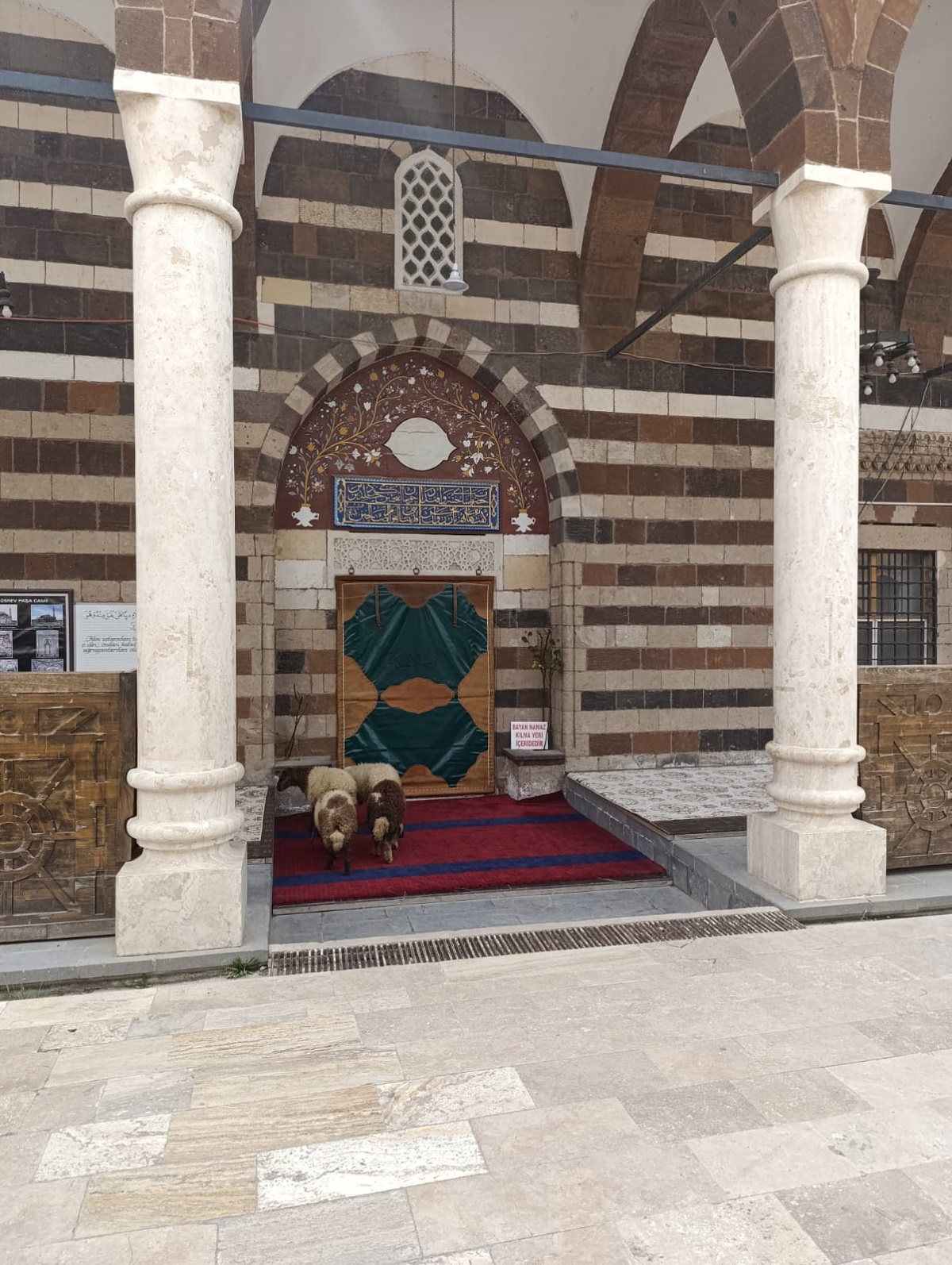 Van Hüsrevpaşa Camii Koyun Otlatma (2)