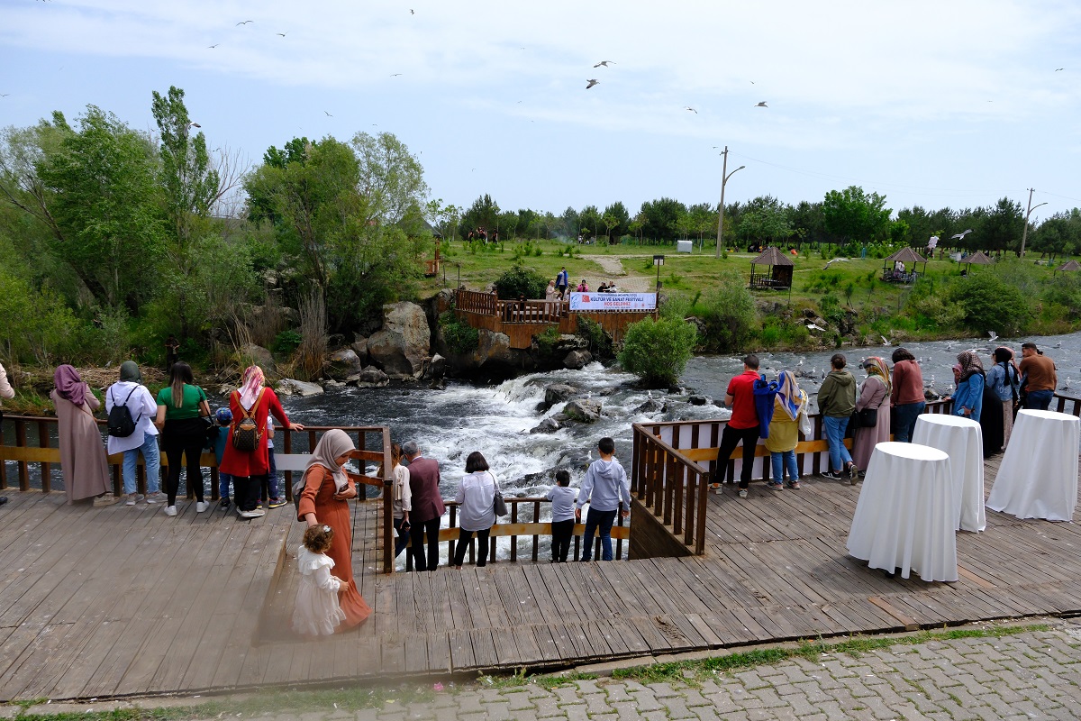 Van Inci Kefali Festivali Başladı (10)