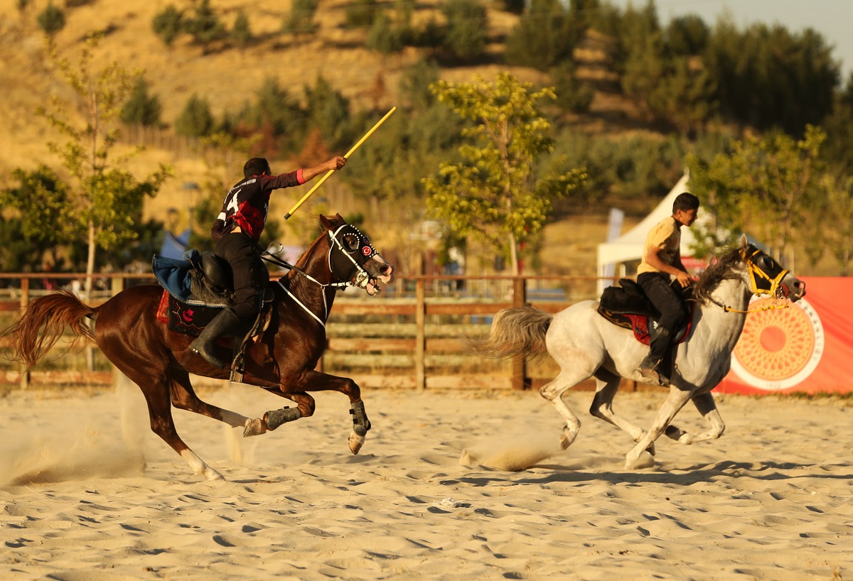 Ahlat Malazgirt (1)