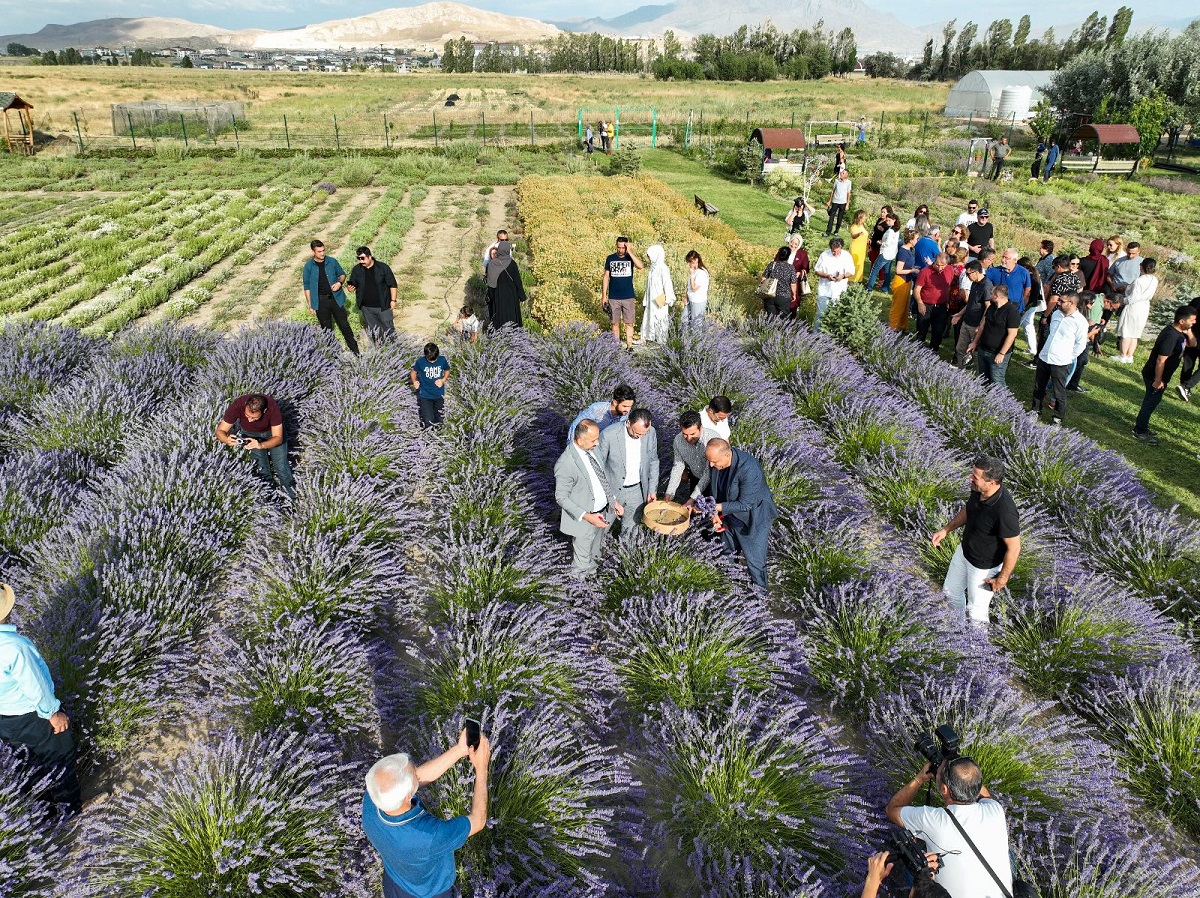 Van Yyü Tıbbi Aromatik Bitkiler (4)