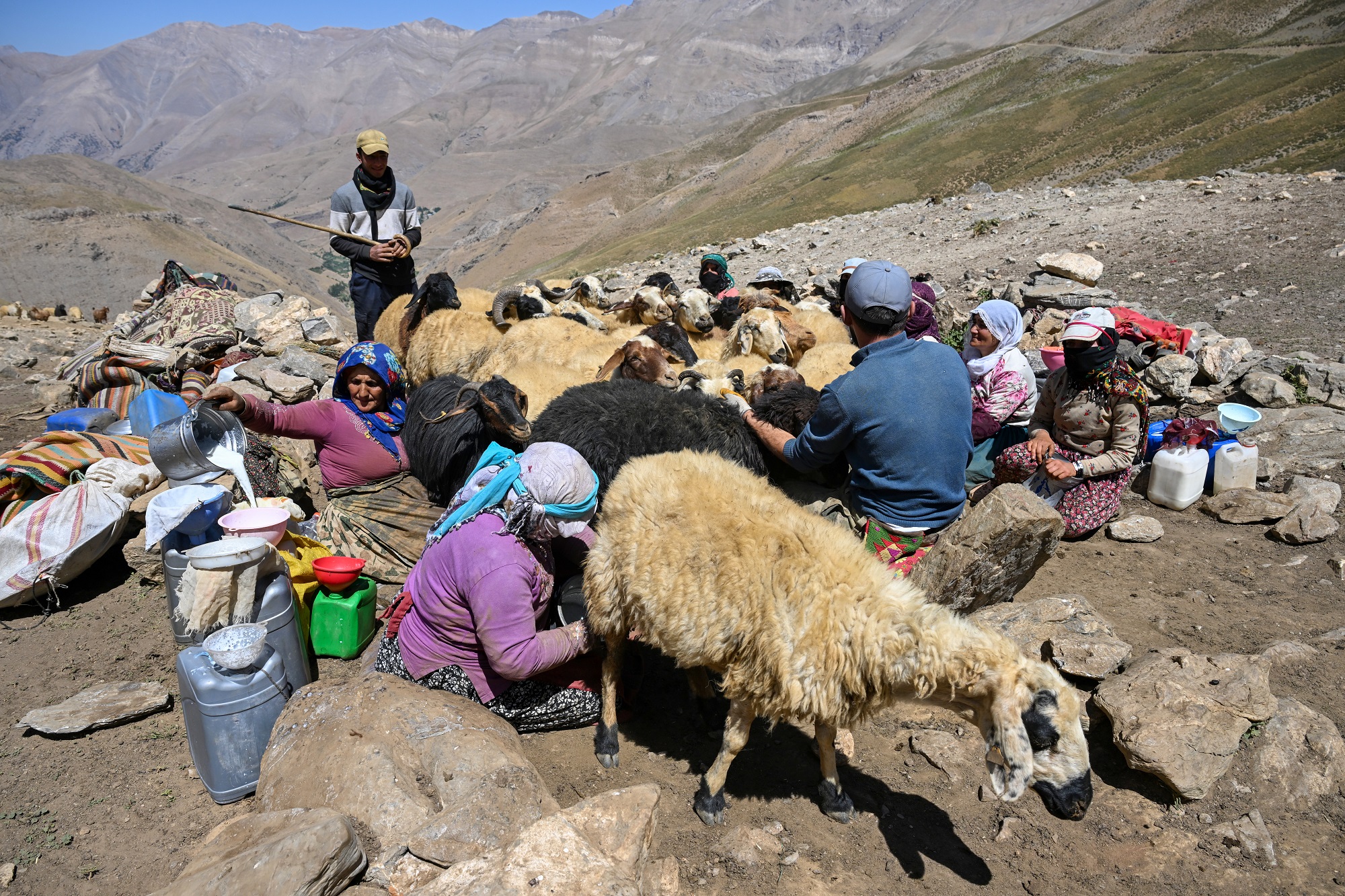 Van Berivanlar Van Yayla Çobanlar (12)