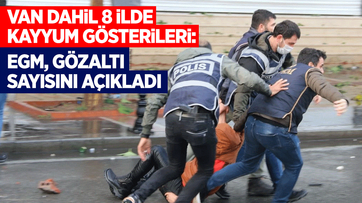 Van dahil 8 ilde kayyum bilançosu: Gözaltı sayısı açıklandı