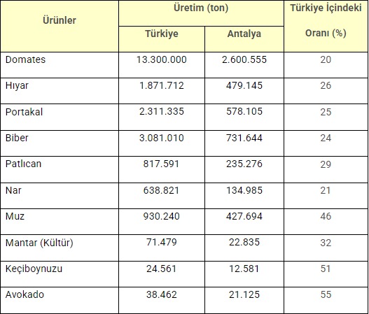 Antalya Sebze (1)