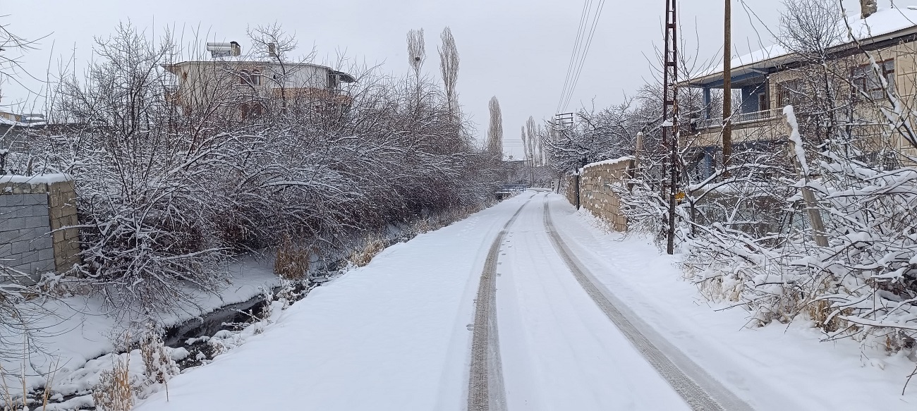 Kar Yağışı Van 21 Şubat (2)