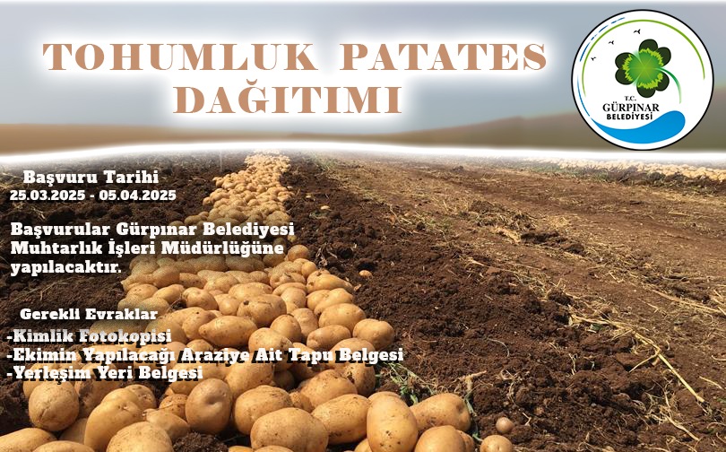 Patates Dağıtımı