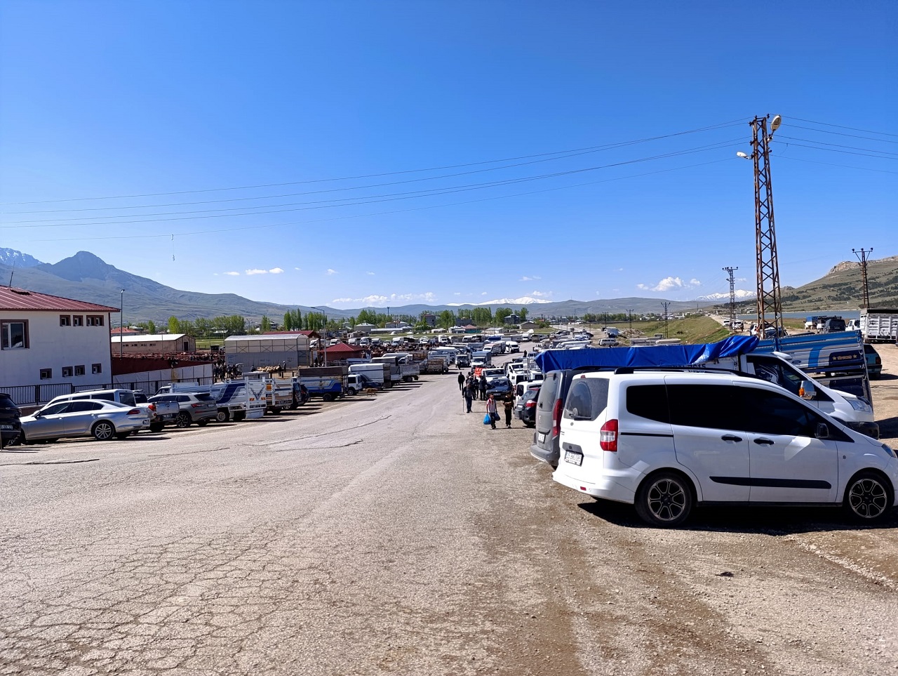 Van Kurbanlık Fiyatları Meydan Kurban (5)-1