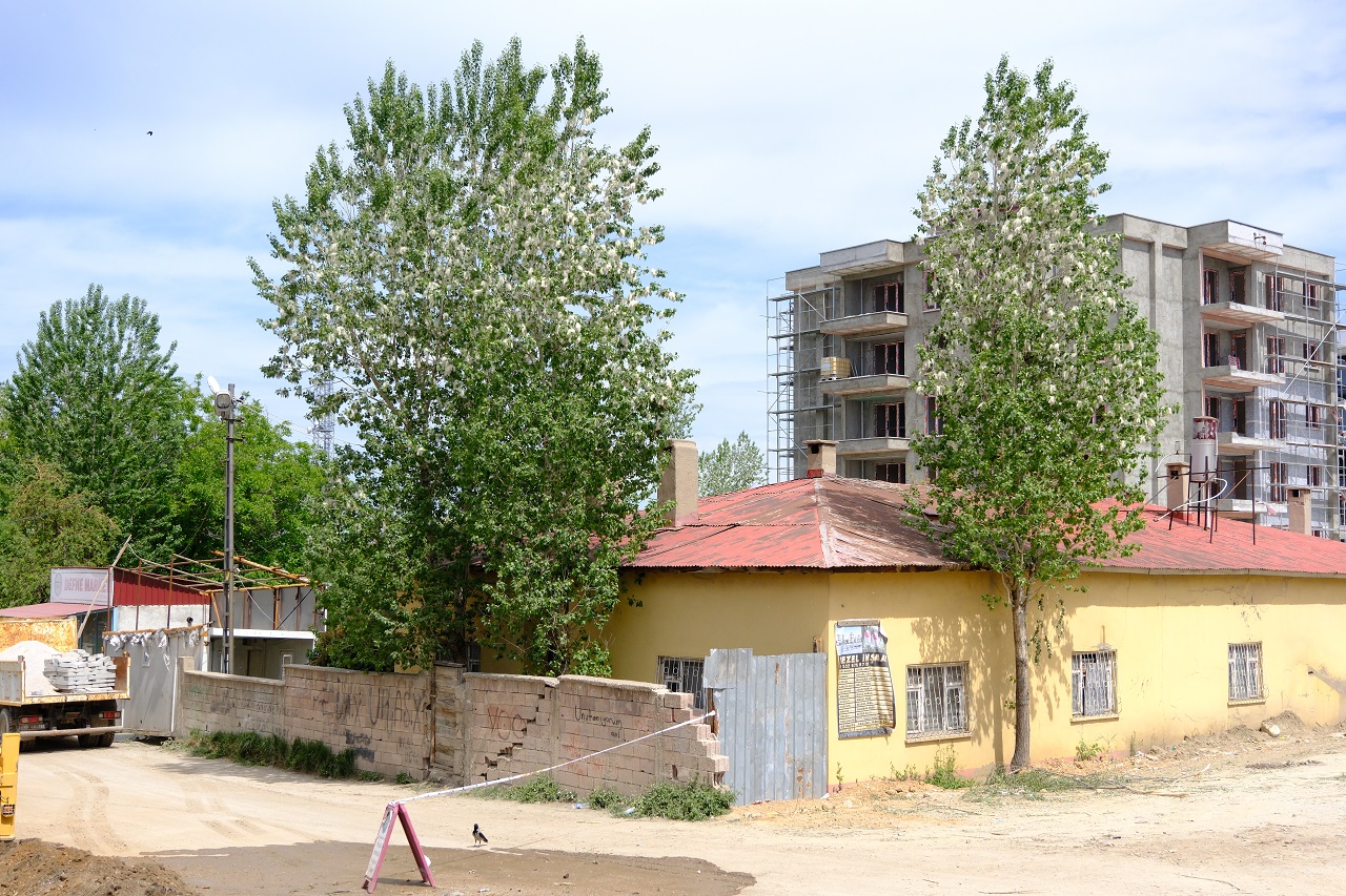 Van Polen Yoğunluğu (3)