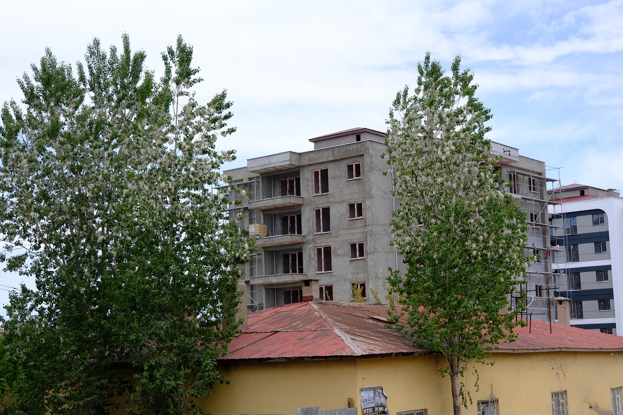 Van Polen Yoğunluğu (5)