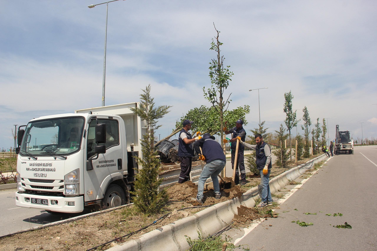 Van Sahil Yolu Yeşil (1)