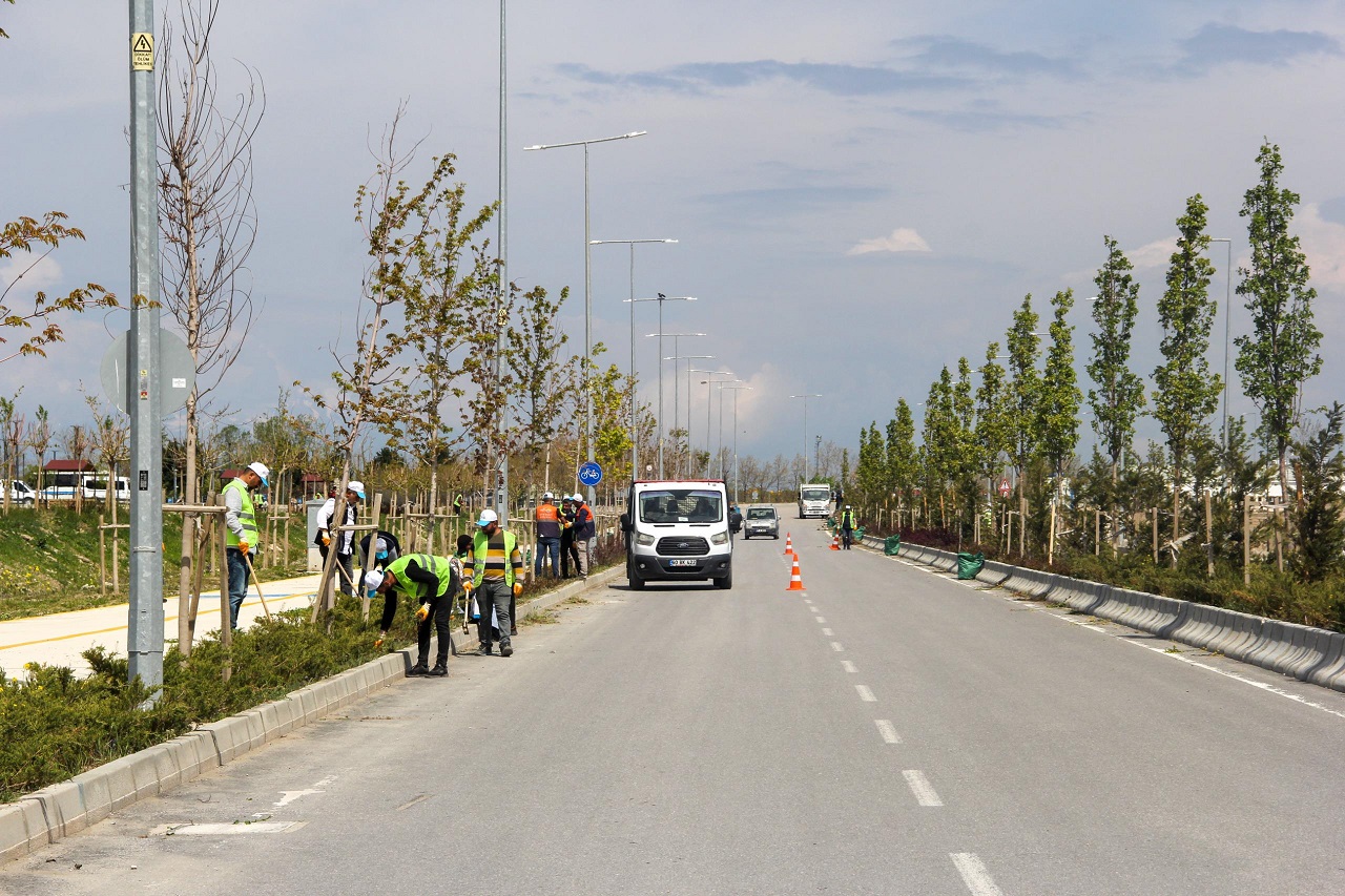 Van Sahil Yolu Yeşil (3)