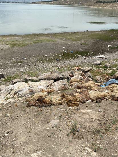 Kurban Derisi Sıhke Gölü (2)