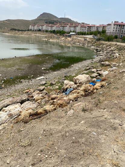 Kurban Derisi Sıhke Gölü (3)