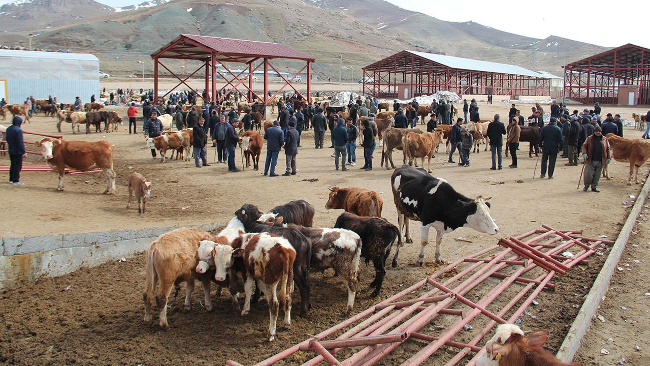 Hayvan Pazarı