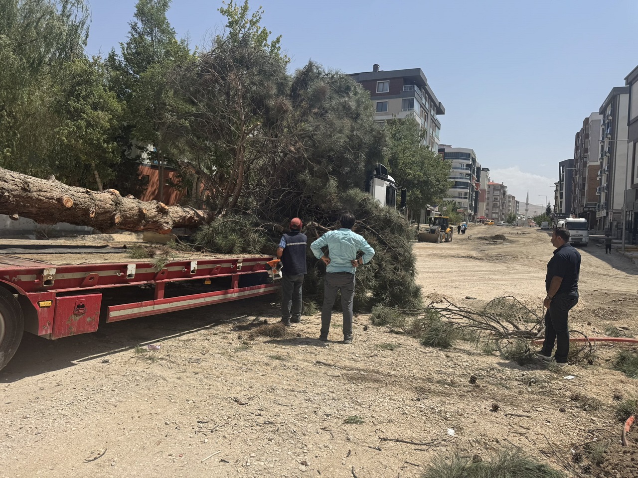 Van Ağaç Katliamı (3)