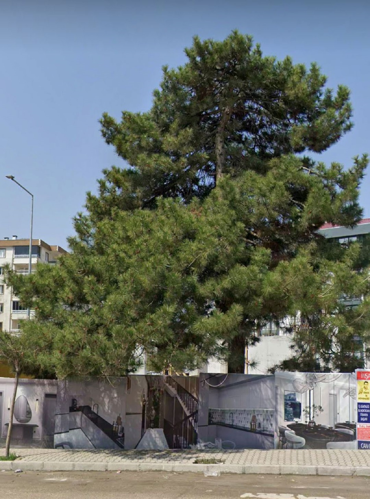 Van Ağaç Katliamı (4)